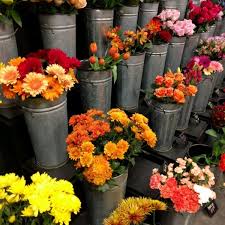 Click to view other data about this site. Photos At Veldkamp S Flowers Gifts 34 Visitors
