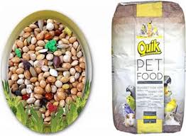 Quik Q100 Meyveli Muhabbet Kusu Yemi 20 Kg My 63058 Fiyatlari Ozellikleri Ve Yorumlari En Ucuzu Akakce