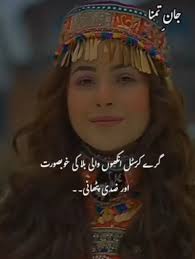 Syed Ahan Haroon Shah Novel