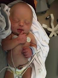 Fundraiser by Cara Jacobs : Jules Emmett Jacobs Celebration of Life