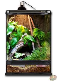 12x12x18 Zoo Med Terrarium Setup As A Forest Habitat Diy This Terrarium With Forest Floor Substrate Mop Crested Gecko Habitat Reptile Terrarium Gecko Habitat