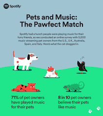 Which is every bit as silly as it sounds. Spotify Creates Playlists For Pets Because Why Not Newswatchtv