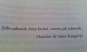 „mały książę to tylko z pozoru baśń dla dzieci, ale w rzeczywistości jest to opowieść dla dorosłych, która ma im pokazać, czym jest prawdziwa odpowiedzialność czy dojrzewanie 27. Carpe Diem