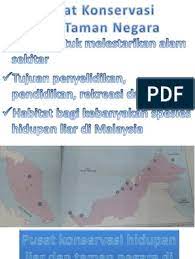 Research has shown that this rainforest has never been influenced by ice ages and other big changes. Pusat Konservasi Dan Taman Negara