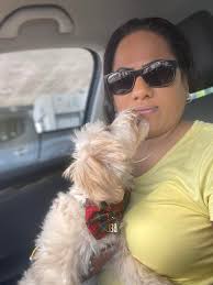 This staring contest is brought to you by Uncle Sox the gray and Bella the  pretty Maltipoo.