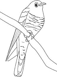 Bird On Tree Drawing For Kids Cuckoo Bird On Tree Branch Coloring Pages Coloring Sky Bird Coloring Pages Coloring Pages Tree Branches