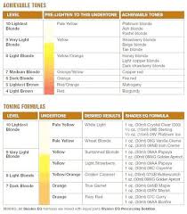List Of Redken Shades Eq Color Chart Highlights Images And
