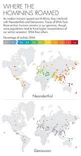 The researchers speculate there must be a. How Neanderthal Dna Helps Humanity Quanta Magazine