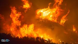 The fires have killed three people and forced. A Forest Fire Broke Out In The Adana Region Of Turkey Move 2 Turkey