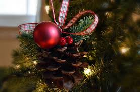 I've shown the assembly on the. Diy Christmas Pinecone Ornament My Family Thyme