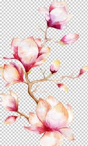 Watercolor Painting Magnolia Flower Png Clipart Branch Cartoon Design Drawing Floral Design Free Png Download 105 magnolia flower vector icons. watercolor painting magnolia flower png