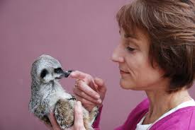 European Chemoreception Research Organization