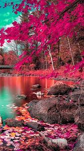 Download Autumn Wallpaper By Georgekev 3f Free On Zedge Now Browse Millions Of Popular Fall Wallpapers An Beautiful Nature Wallpaper Nature Autumn Nature