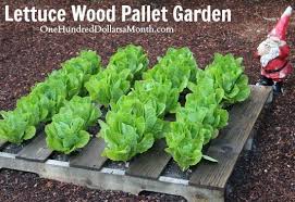 Depending on your pallet, pick the best planks to measure to fit the open spaces (black box) on your raised bed pallet. 40 Awesome Diy Pallet Projects For Gardeners Balcony Garden Web