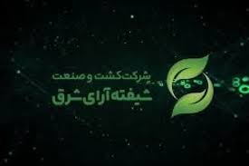 مروری بر عملکرد فروش «شیفته» در 2 ماهه نخست سال