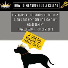 How to measure dogs neck. Collar Sizing Guide Regal Dog Luxury Dog Collars