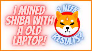 Shiba Inu Mining Profits After 1 Week Using Unmineable And Old Laptop In 2021 Shiba Inu Shiba Inu