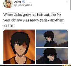 When Zuko Grew His Hair Out The 10 Year Old Me Was Ready To Risk Anything For Him Ifunny In 2020 Avatar Zuko Zuko Avatar Airbender