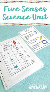 Five Senses And A Freebie Senses Five Senses Worksheet Worksheets For Kids