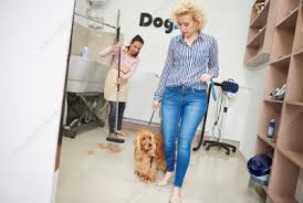 We want to learn what pampering means to each of our clients. Pampered Pets Keyword Search Science Photo Library