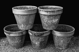 Black And White Flower Pot Images Five Mossy Stacked Flower Pots Black And White Still Life Photograph Black And White Flowers Black And White Photographs Flower Pots