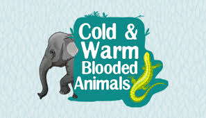 Warm vs cold blooded animalsthis video teaches about warm blooded and cold blooded animals. Cold Blooded And Warm Blooded Animals Biology For Kids Mocomi