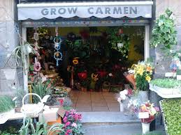 Floristeria Grow Carmen