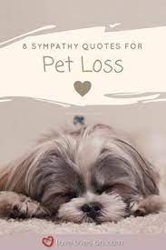  100 Best Sympathy Quotes Losing A Pet Quotes Pet Sympathy Quotes Losing A Pet