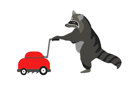 Download Raccoon Using A Lawnmower Svg Cut File By Creative Fabrica Crafts Creative Fabrica SVG Cut Files
