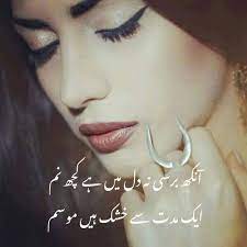 ایک مدت سے خشک ہیں موسم Nostril Hoop Ring Nose Ring Septum Ring
