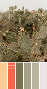 If you find a color you like but don't like the whole scheme you can lock. Sage And Salmon Pink Color Palette Color Palette 45 1 Fab Mood Wedding Colours Wedding Themes Wedding Colour Palettes