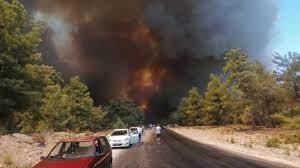 Масштабні пожежі у курортній туреччині не припиняються. Pozhezha V Turechchini Ohopila Populyarni Kurorti Ye Zagibli Novini Turechchini