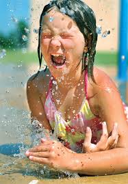 2008 Photo Contest Winners