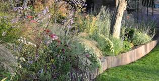 Maybe you would like to learn more about one of these? Coastal Gardens Archives Semple Begg Landscapes And Gardens