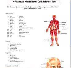 New Muscular System Reference Guide Download Medical Assistant Quotes Medical Terminology Muscular System