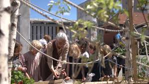 To be fair, childhood me loved this bizarre cultural artifact, which sure, the puppet becomes a real boy, but to what end? Gerlind Institute For Cultural Studies Oakland California Not Just An Institute We Re Building Community