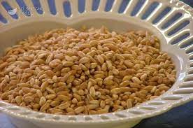 We did not find results for: Scuola Di Cucina Cuocere Farro E Orzo Le Ricette Dello Spicchio D Aglio