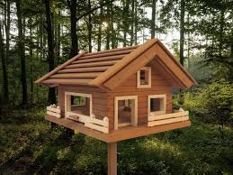 Vogelhaus Spatz 39 Von Vogelfrei Holz Thermo Abachi Und Larche Grosse Grundplatte 58 5 X 48 5 Cm Dach 59 5 X 59 5 C Vogelhaus Haus Bauplan Vogelhaus
