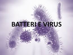 Le cellule in cui il virus è latente e inattivo mostrano pochi segni di infezione visibile al microscopio ottico mediante particolari colorazioni effettuabili in laboratorio analisi. Le Differenze Tra Batteri E Virus Studio Kompas Srls