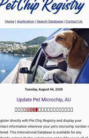 > information on the cost to microchip your pet. Microchipping Pets Pet Registry Au Is Not Licensed To Operate In Australia The Courier Mail