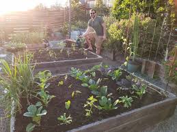 Buy the best and latest home garden irrigation on banggood.com offer the quality home garden irrigation on sale with worldwide free shipping. Garden Irrigation Solutions Diy Efficient Toxin Free Watering Options Homestead And Chill