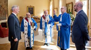 Technieken uit de rechtspraak van het grondwettelijk hof zoals de handhaving der gevolgen, de gedeeltelijke vernietiging en de zgn. Eedaflegging Van Dhr Michel Paques Franstalige Rechter Van Het Grondwettelijk Hof Archief Sophie Wilmes