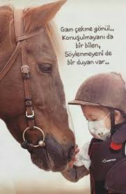 Tlin Smr Adli Kullanicinin Ozlu Sozler Panosundaki Pin Goruntuler Ile Guzel Soz Ozlu Sozler