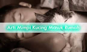 Ternyata mimpi kucing mempunyai tafsir yang mengejutkan! Arti Mimpi Melihat Kucing Warna Warni Archives Jagoan Desain