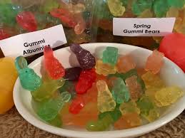 We did not find results for: Stacy Talks Reviews Albanese The World S Best Gummies And More