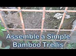 Maybe you would like to learn more about one of these? Assemble A Simple Bamboo Trellis Youtube