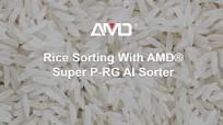 Rice Color+Shape AI Sorting | AMD® Super Series P-RG Rice Color Sorter  Machine