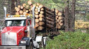 May 15, 2021 · the oregon department of forestry declared a saturday start to fire season in klamath and lake counties, as reported by the herald and news. Oregon Department Of Forestry Welcome State Of Oregon