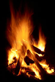 Fire Still Life On Burning Fire Wood Affiliate Life Fire Burning Wood Fire Ad Fire Stock Fire Image