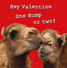 Converts the body to the given type determined by its classname and then invoke methods using a camel from camel 2.11.1 onwards we added special support for accessing the length field of java arrays. Valentines Day Card General Kissing Camels Highworth Emporium